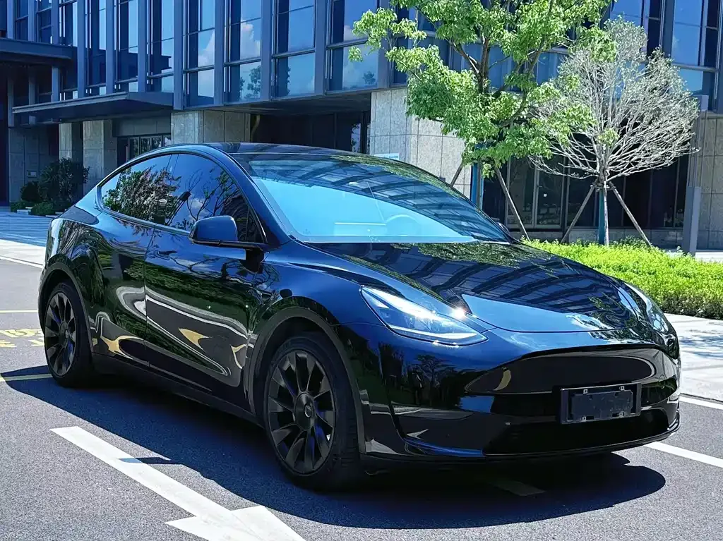 Tesla Model Y — фото 8