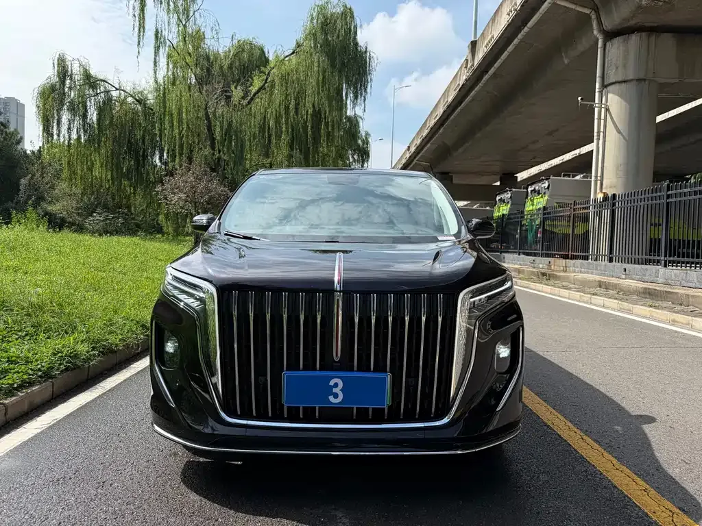Hongqi HQ9 PHEV — фото 10