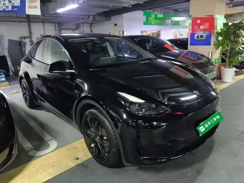 Tesla Model Y — фото 2