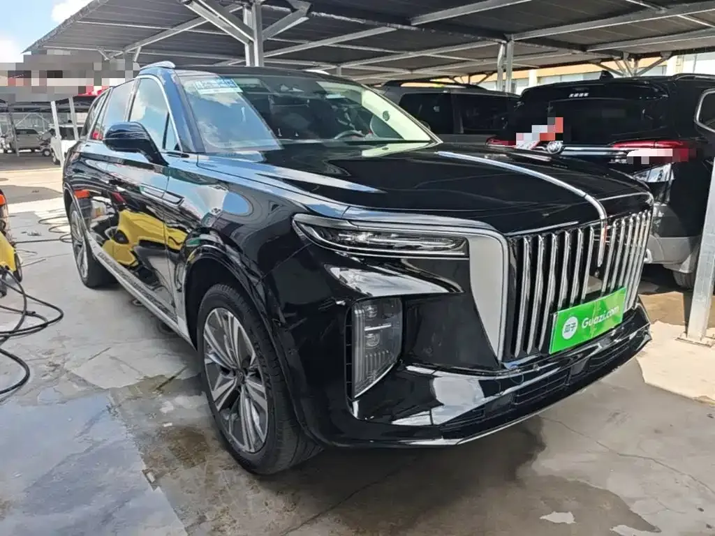 Hongqi E-HS9 — фото 5