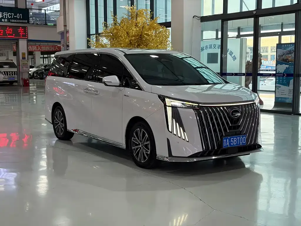 GAC Motor Trumpchi M8 — фото 9