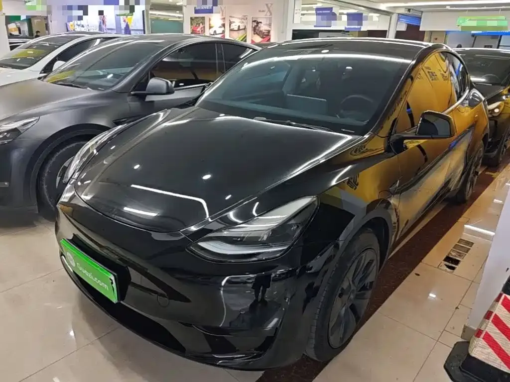 Tesla Model Y — фото 3