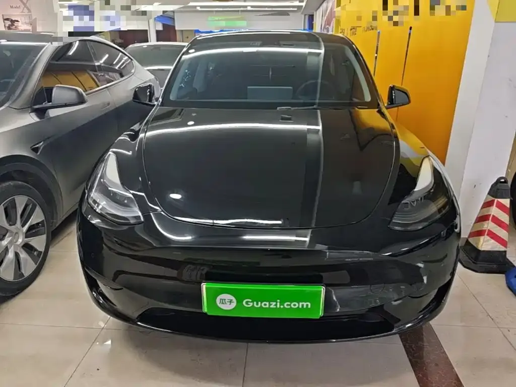Tesla Model Y — фото 10
