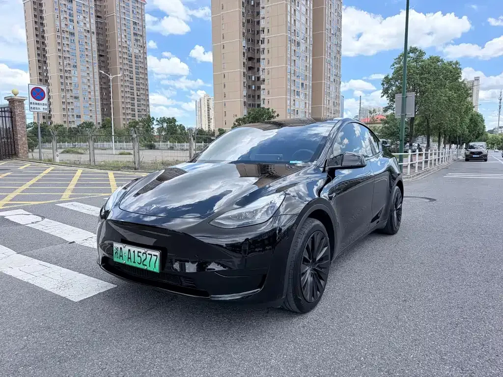 Tesla Model Y — фото 1