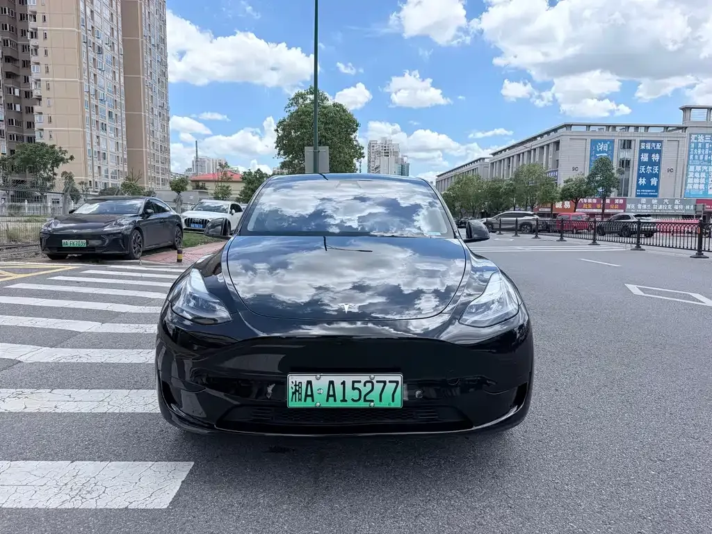 Tesla Model Y — фото 6