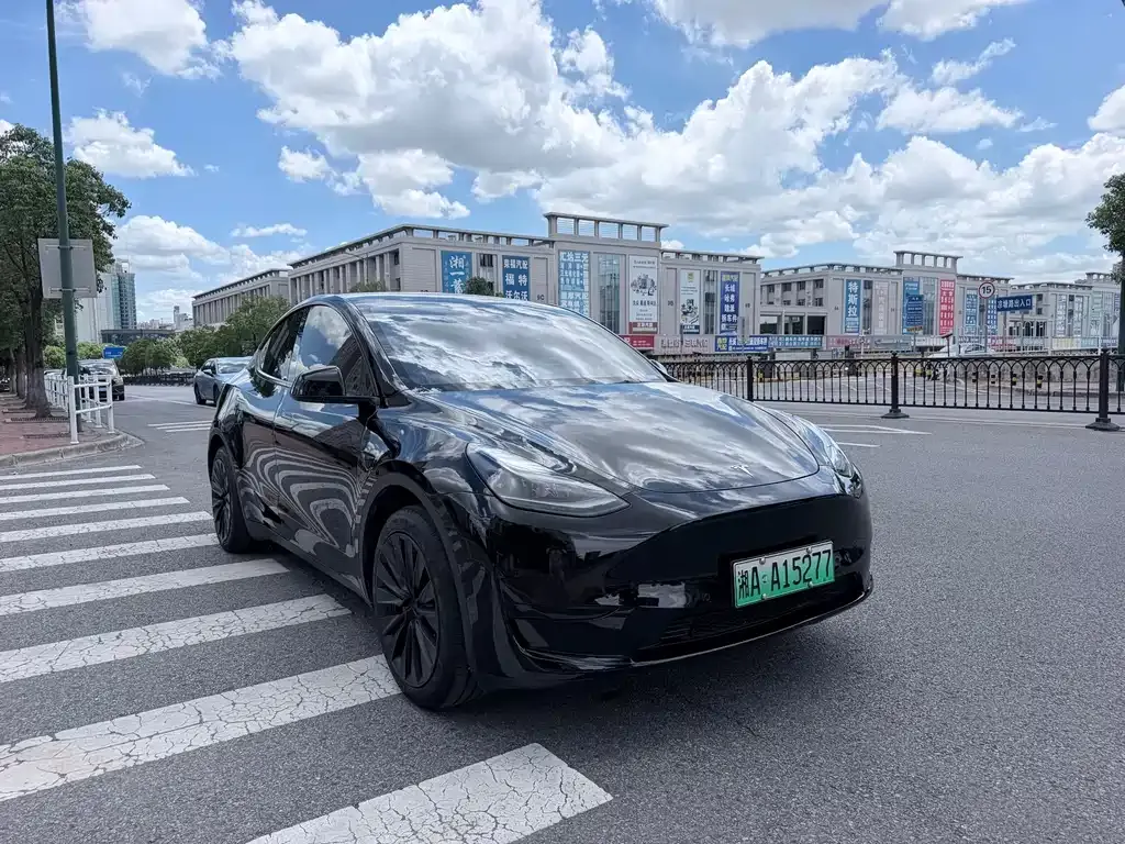 Tesla Model Y — фото 9