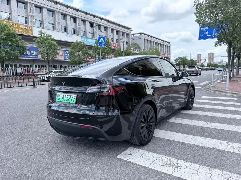 Tesla Model Y — фото 8