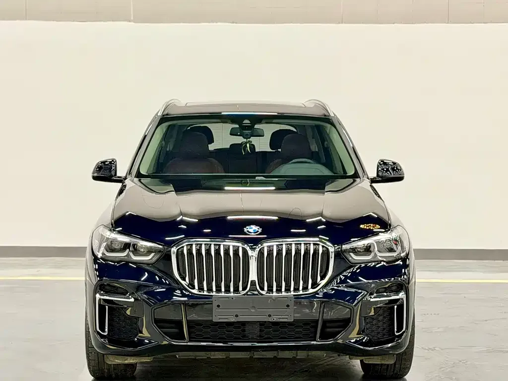 BMW X5 — фото 8