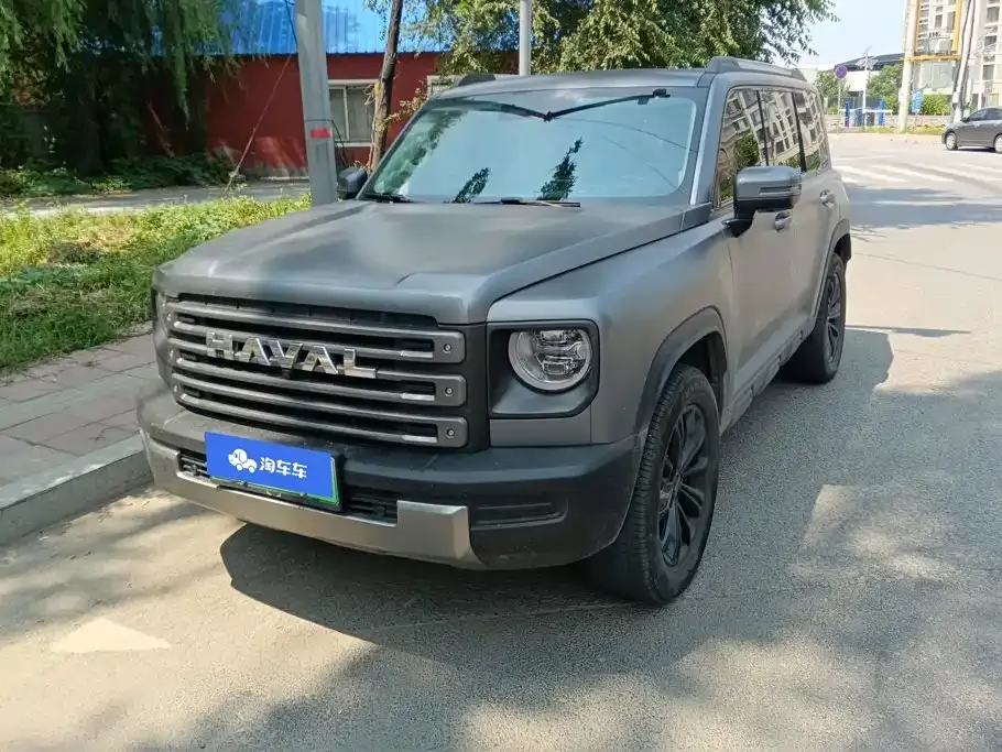Haval Menglong New Energy — фото 1