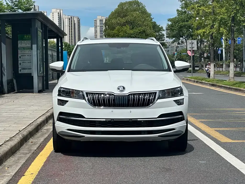 Skoda Karoq — фото 6