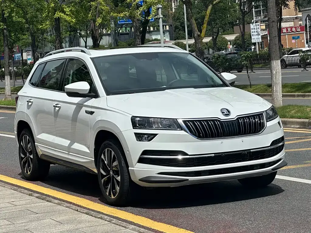 Skoda Karoq — фото 8