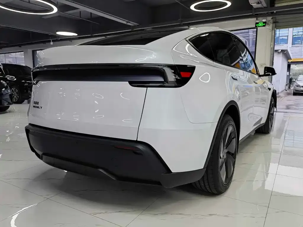 Tesla Model Y — фото 9