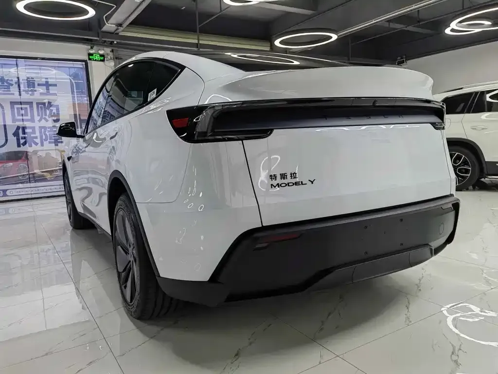 Tesla Model Y — фото 8