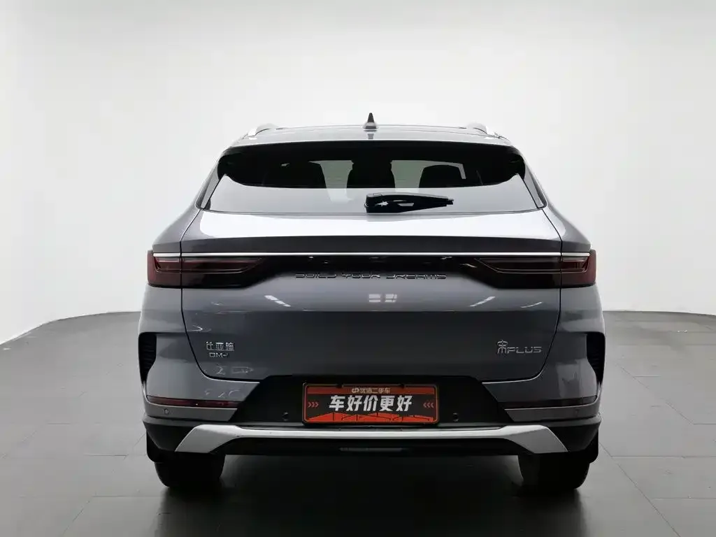 BYD PLUS New Energy — фото 7