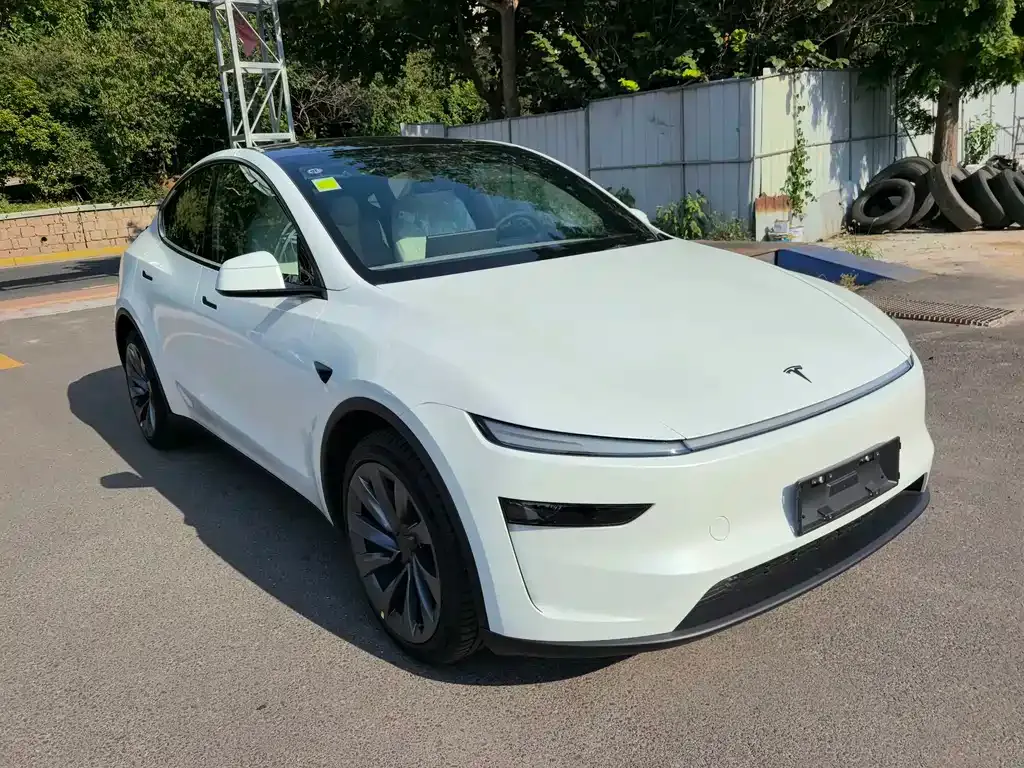 Tesla Model Y — фото 9