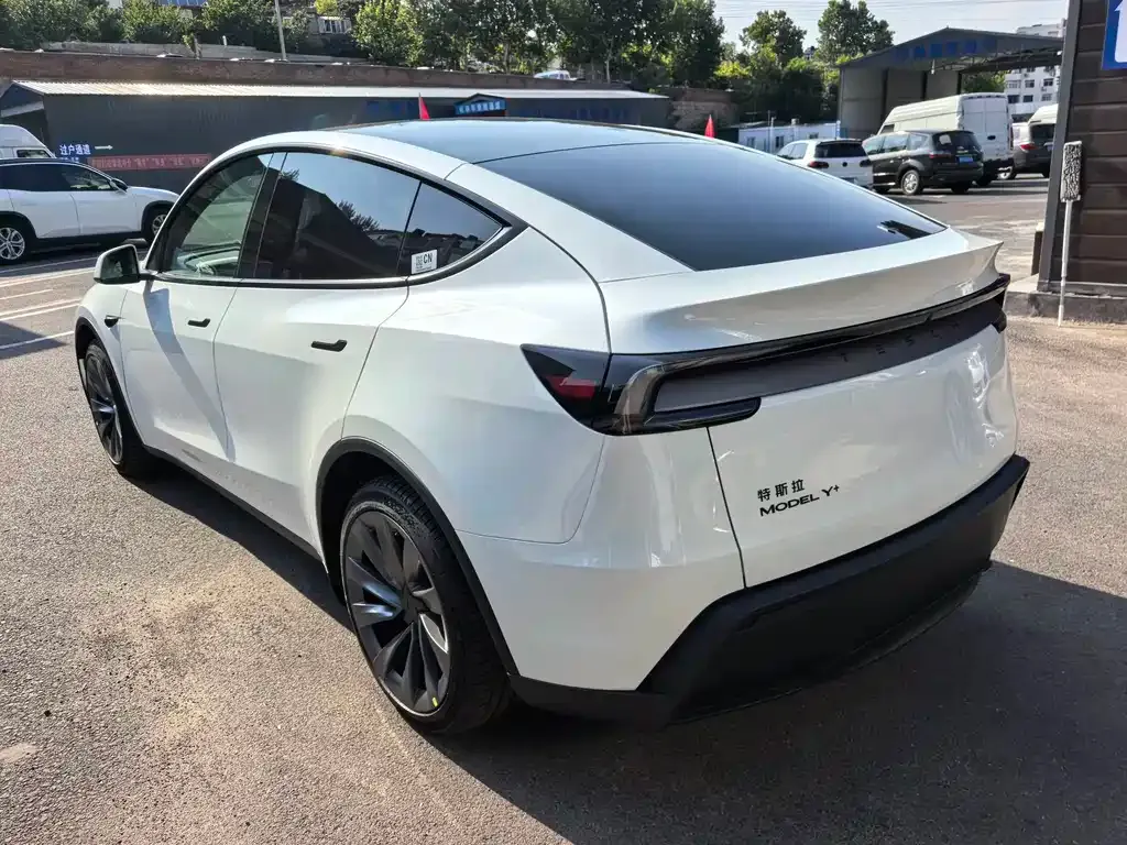 Tesla Model Y — фото 6