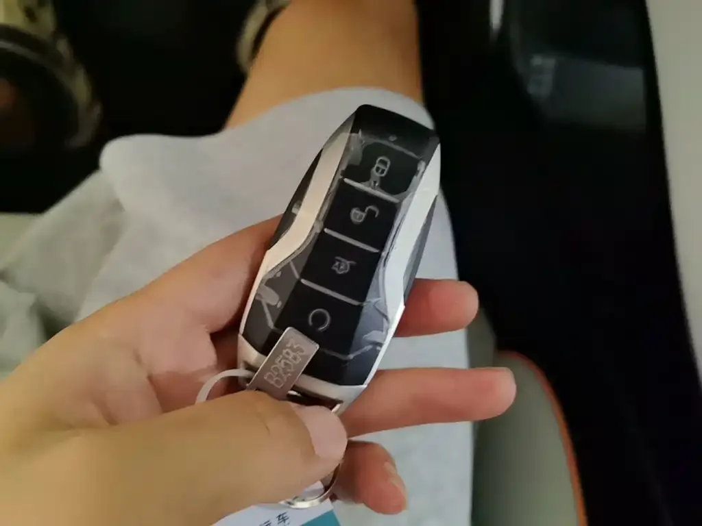 BYD PLUS New Energy — фото 10