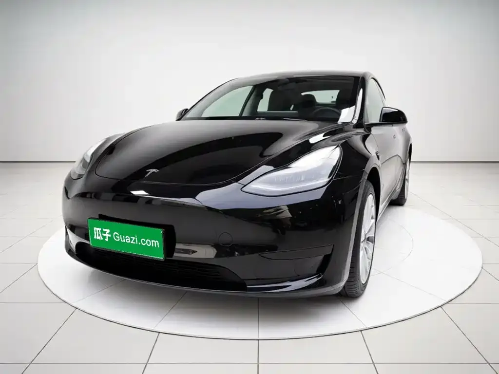 Tesla Model Y — фото 2