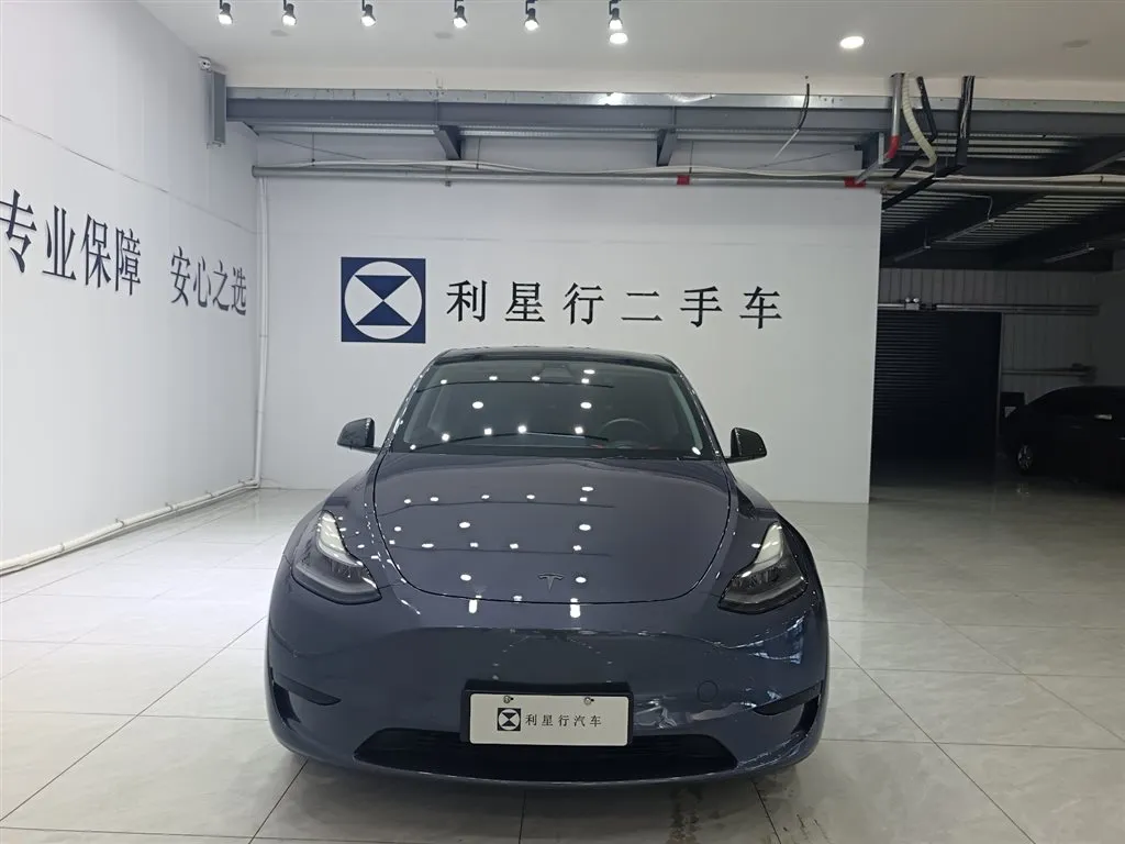 Tesla Model Y — фото 10
