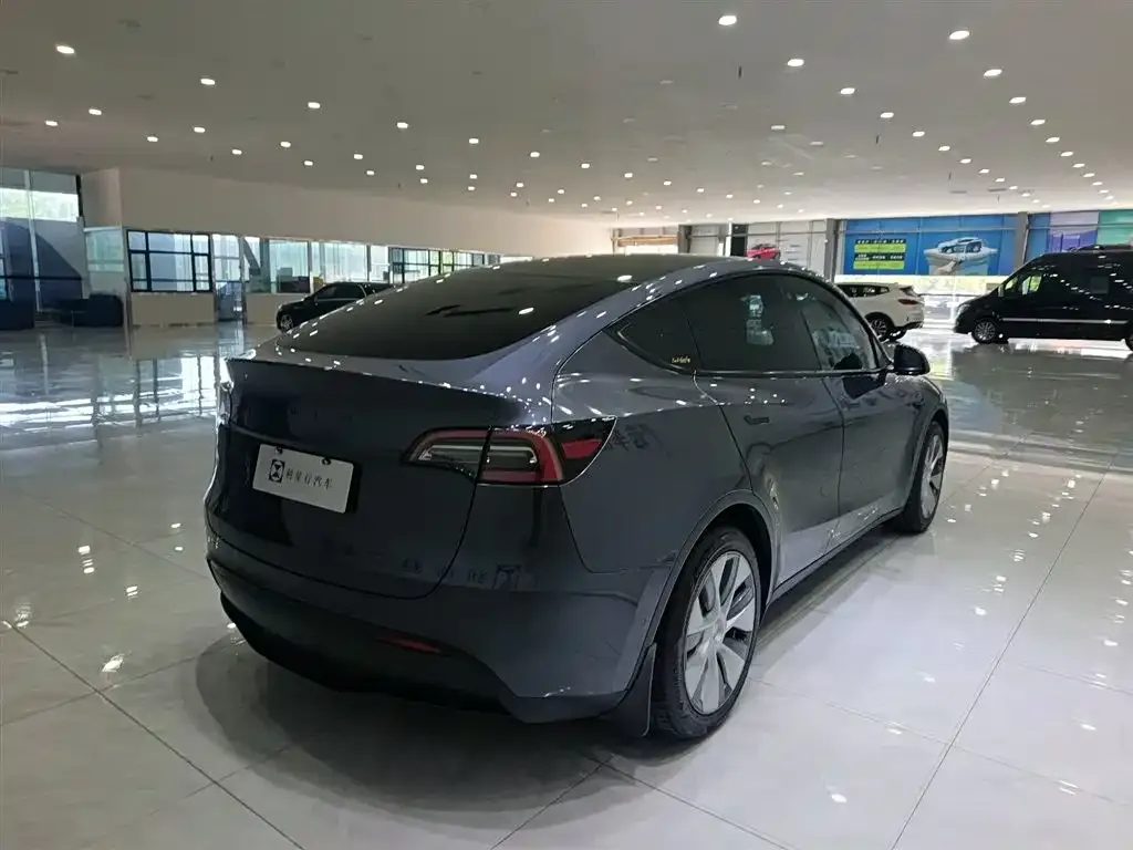 Tesla Model Y — фото 3
