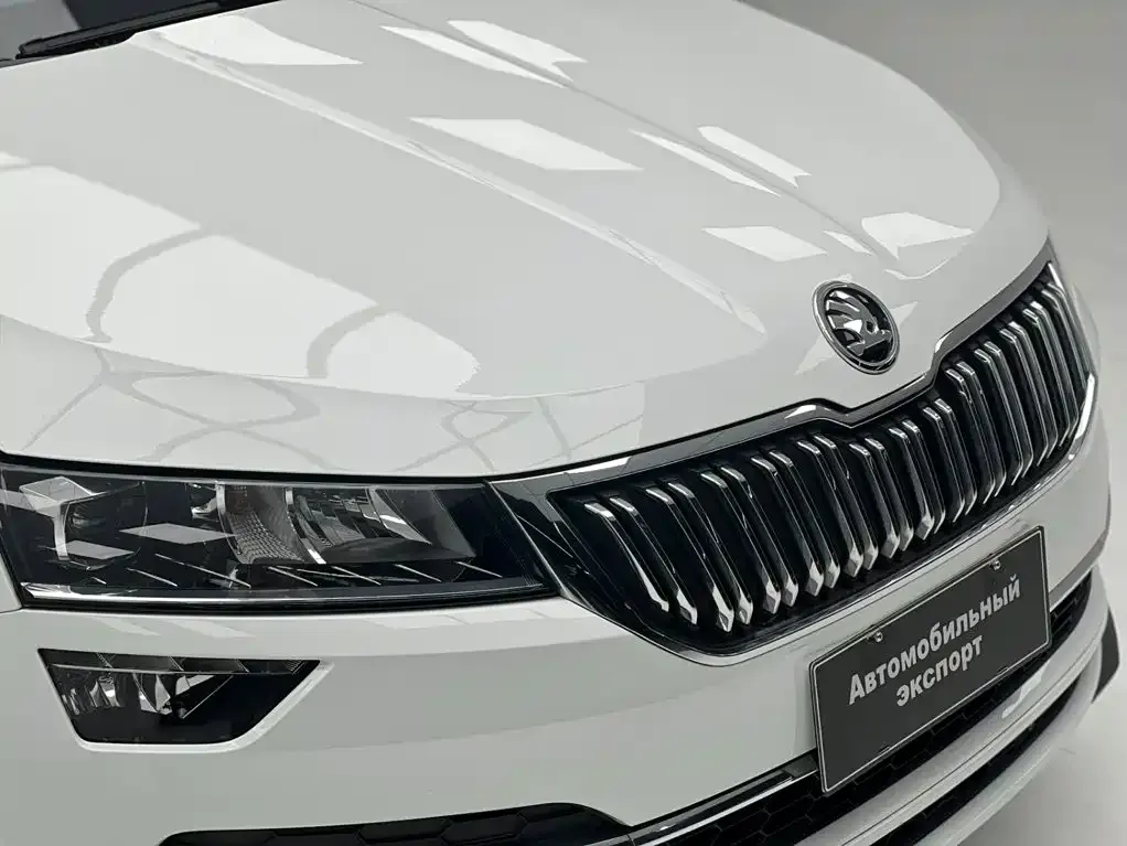 Skoda Karoq — фото 6