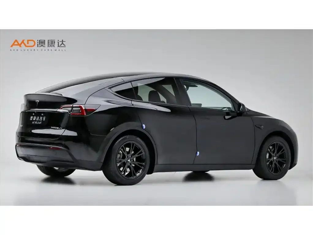 Tesla Model Y — фото 10
