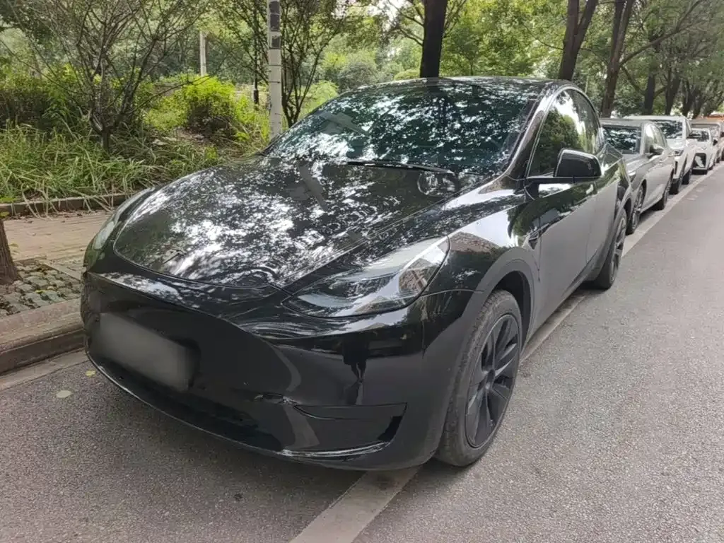 Tesla Model Y — фото 8