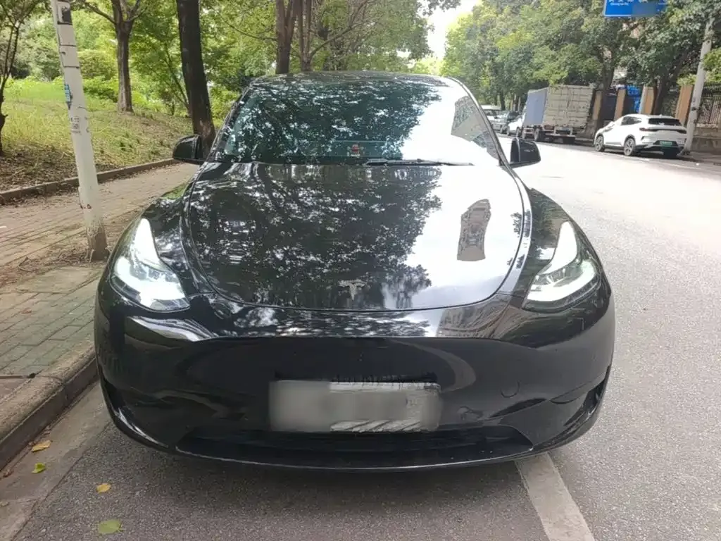 Tesla Model Y — фото 3