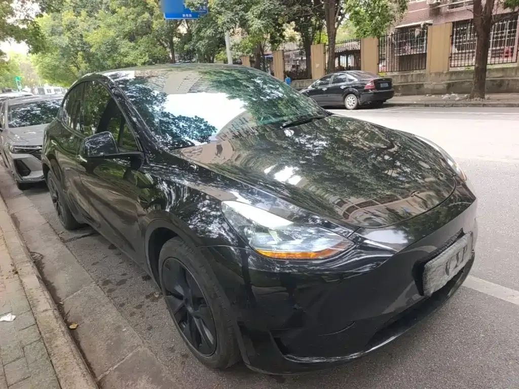 Tesla Model Y — фото 10