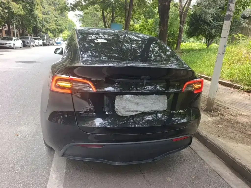 Tesla Model Y — фото 2