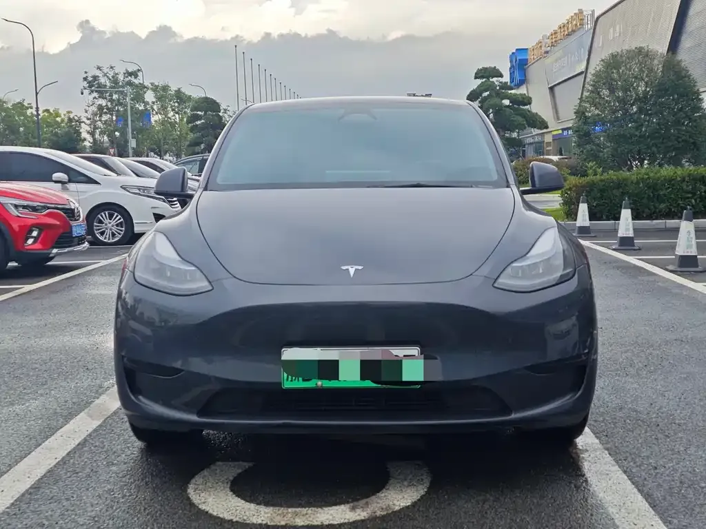 Tesla Model Y — фото 3