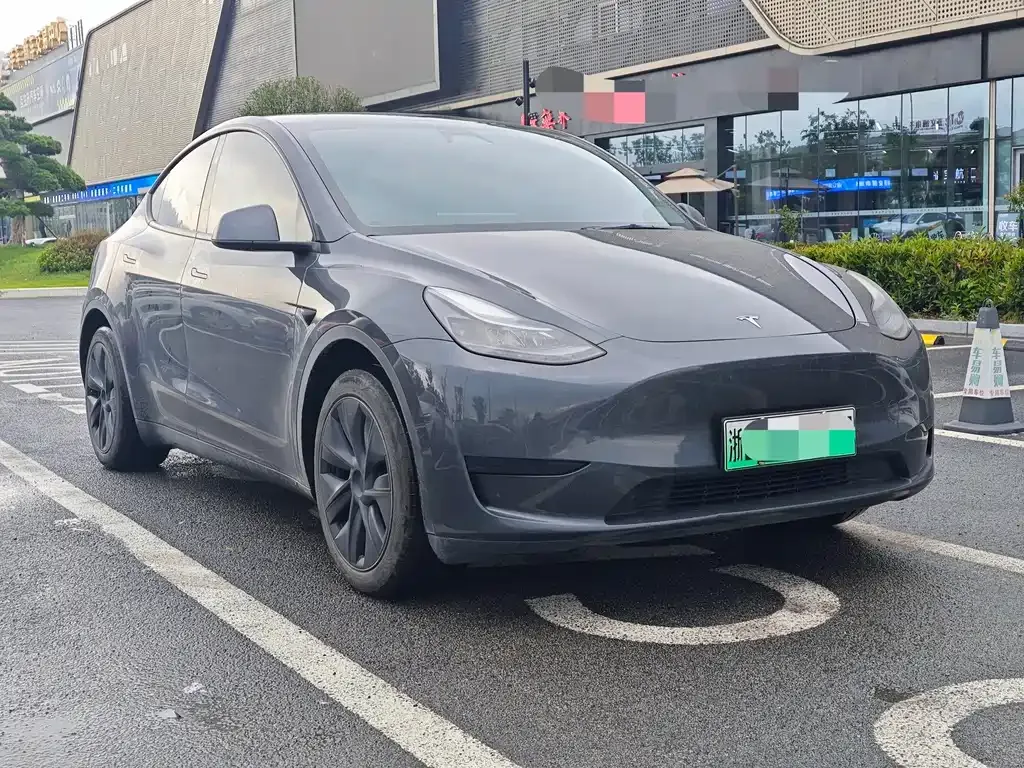 Tesla Model Y — фото 9