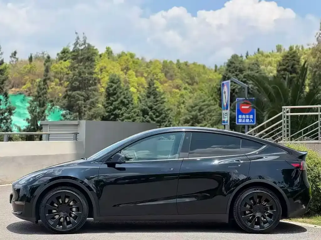 Tesla Model Y — фото 4