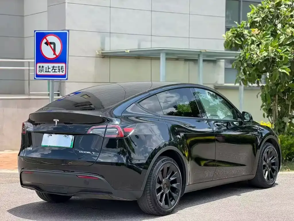 Tesla Model Y — фото 5