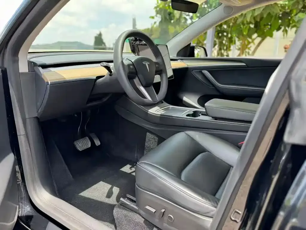 Tesla Model Y — фото 6