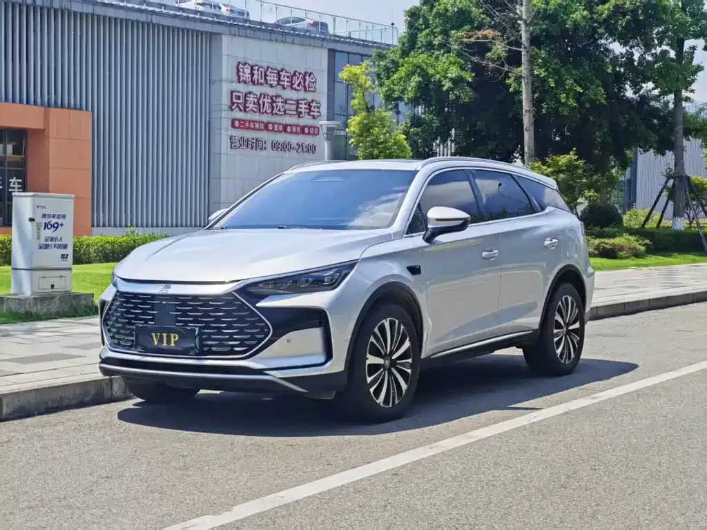BYD Tang New Energy — фото 1
