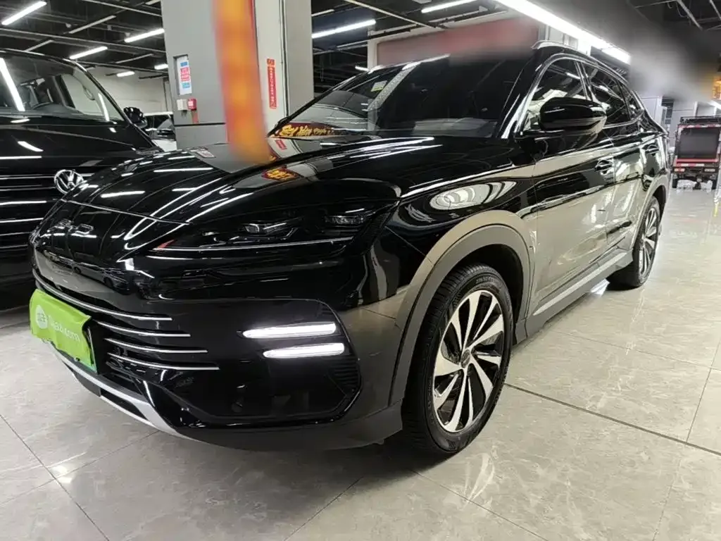 BYD PLUS New Energy — фото 1