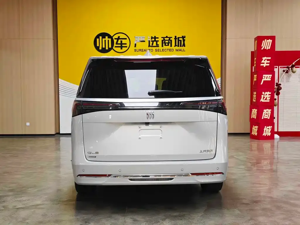 Buick GL8 Hybrid — фото 10