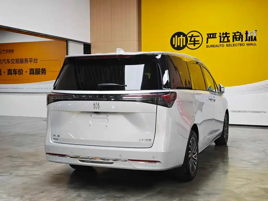 Buick GL8 Hybrid — фото 6