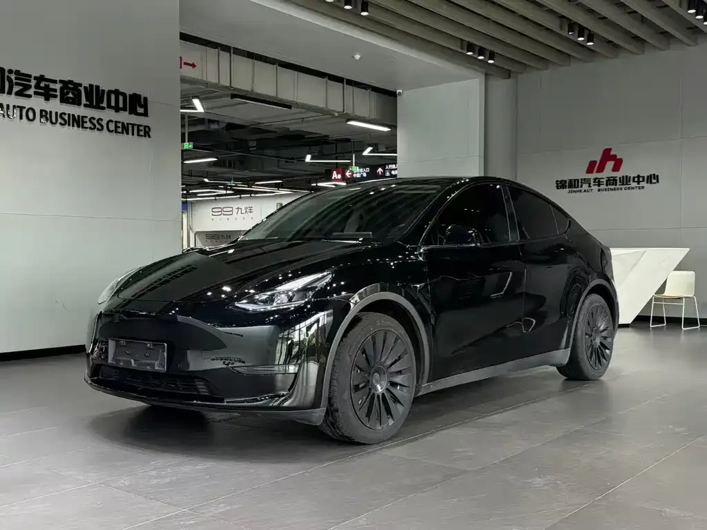 Tesla Model Y — фото 1