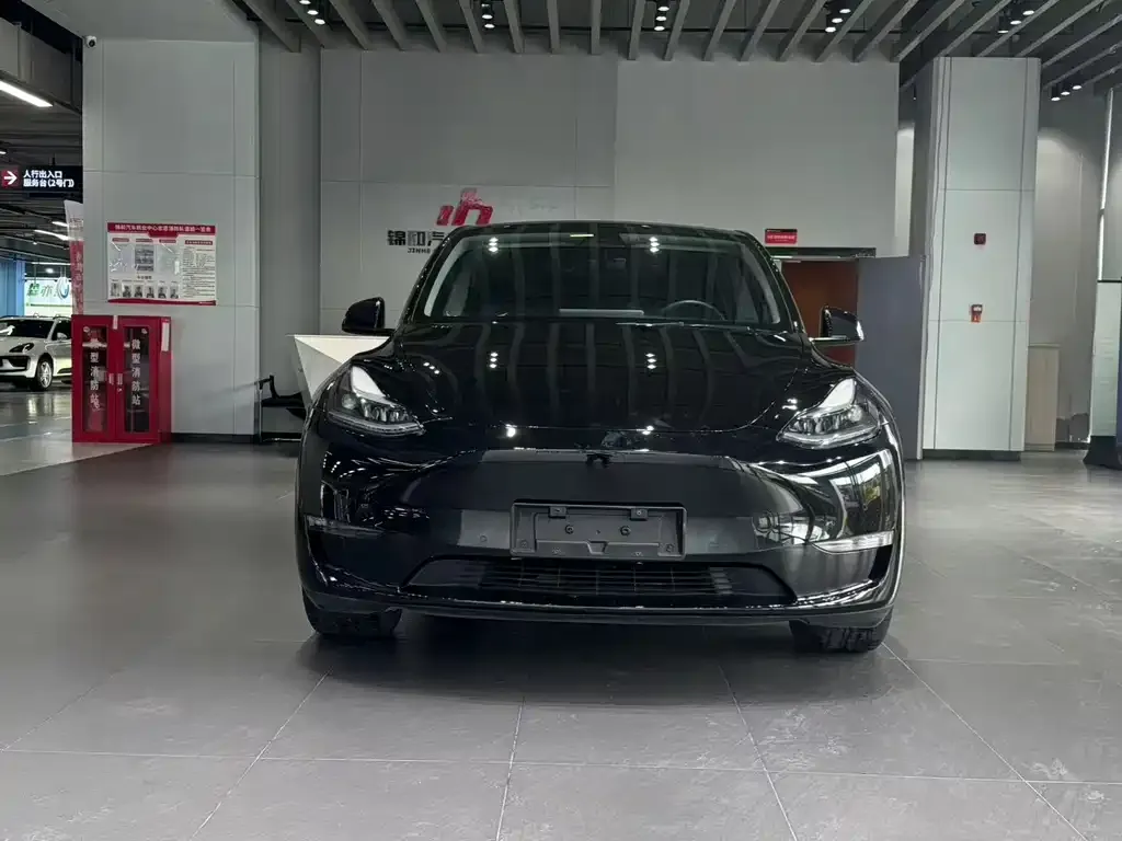 Tesla Model Y — фото 8