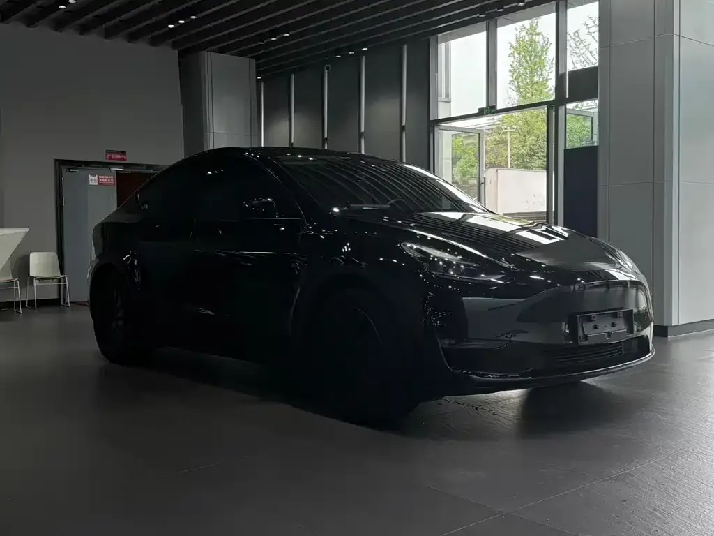 Tesla Model Y — фото 5