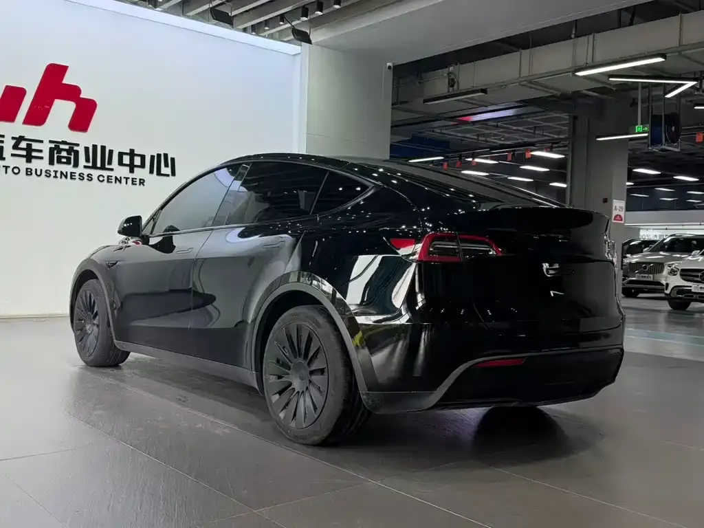Tesla Model Y — фото 9