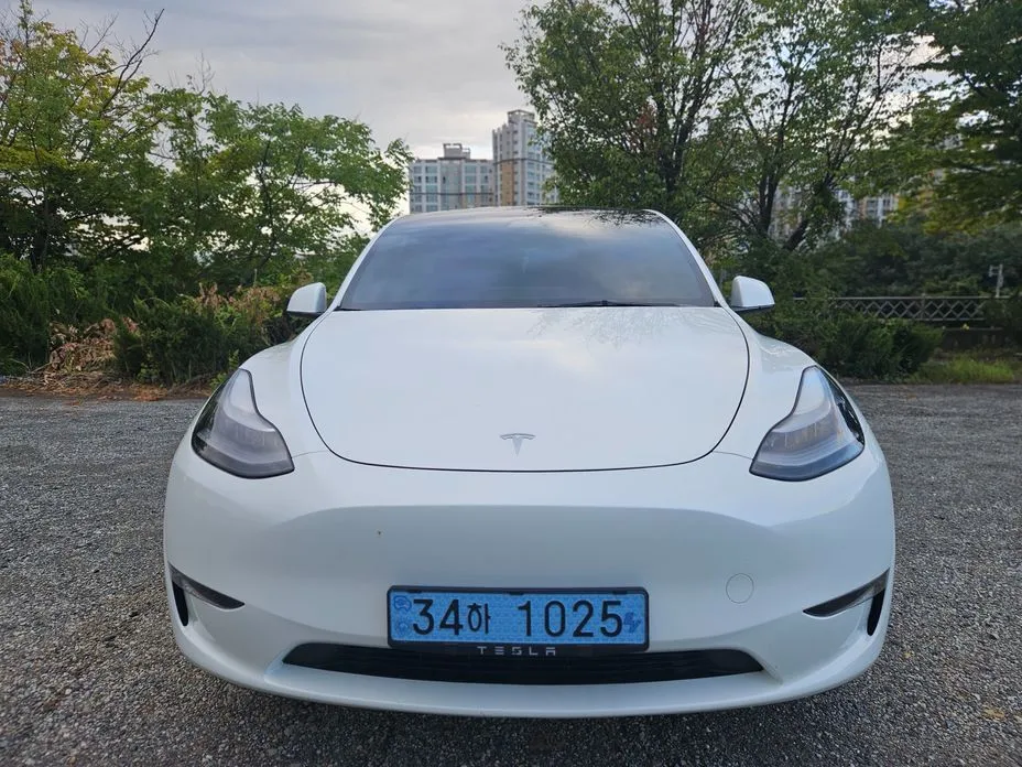 Tesla Model Y — фото 10