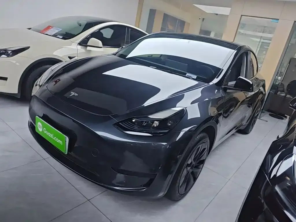 Tesla Model Y — фото 9
