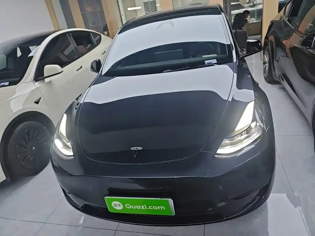 Tesla Model Y — фото 2