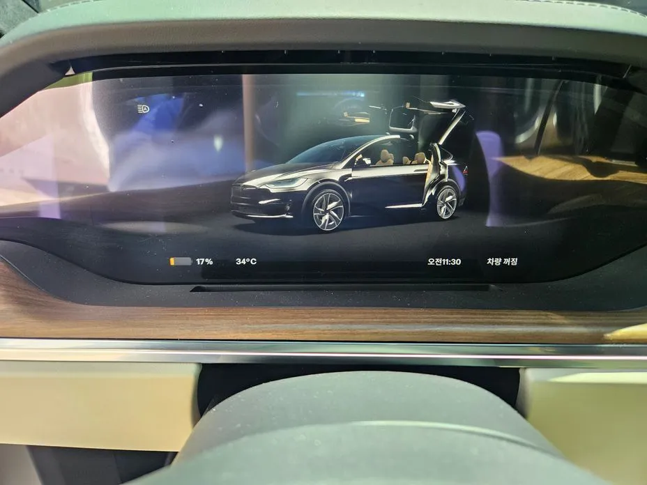 Tesla Model X — фото 4