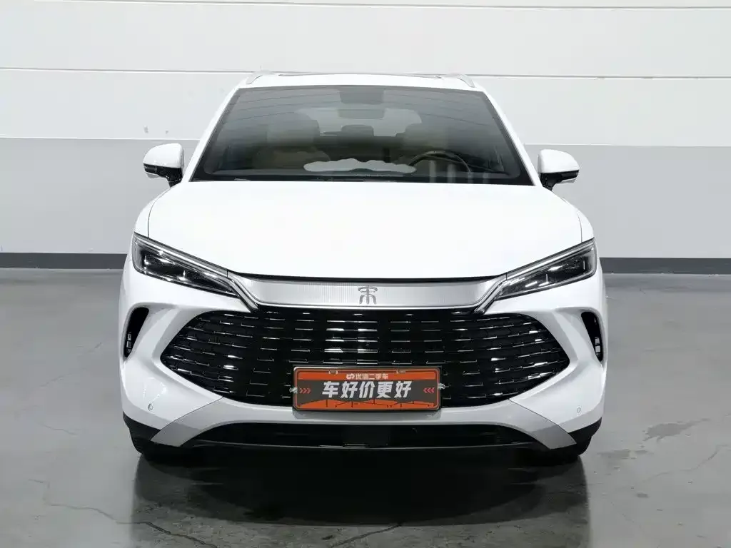BYD L DM-i — фото 9