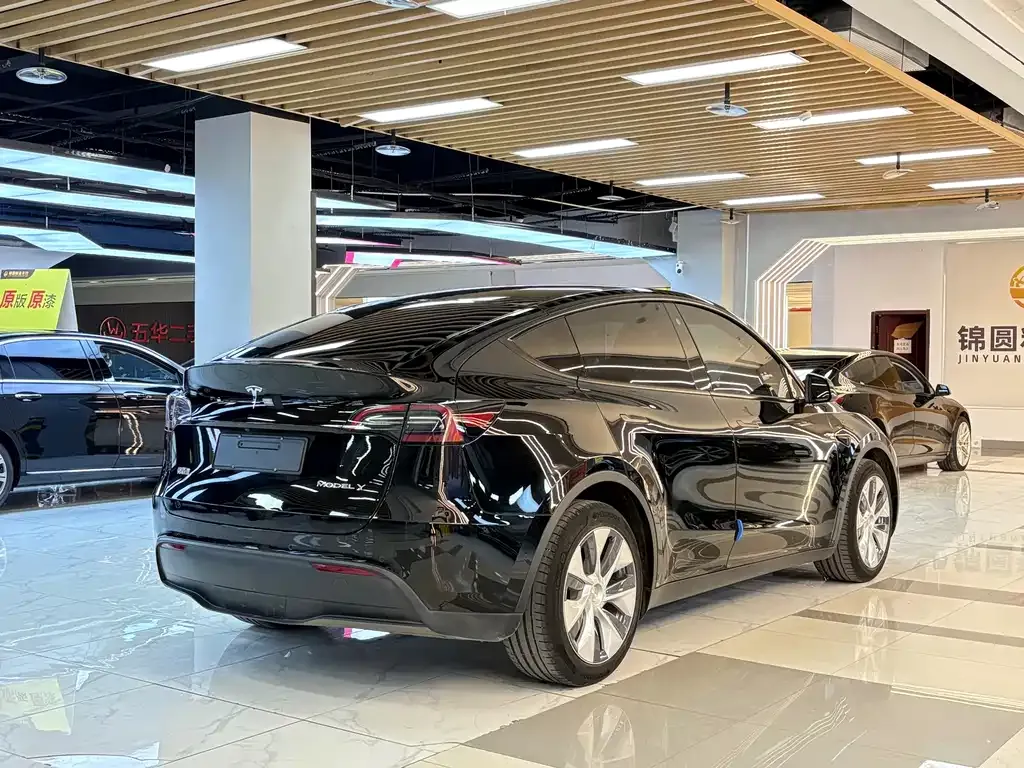 Tesla Model Y — фото 5