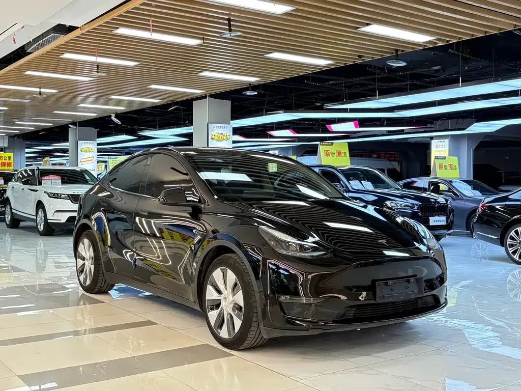Tesla Model Y — фото 8